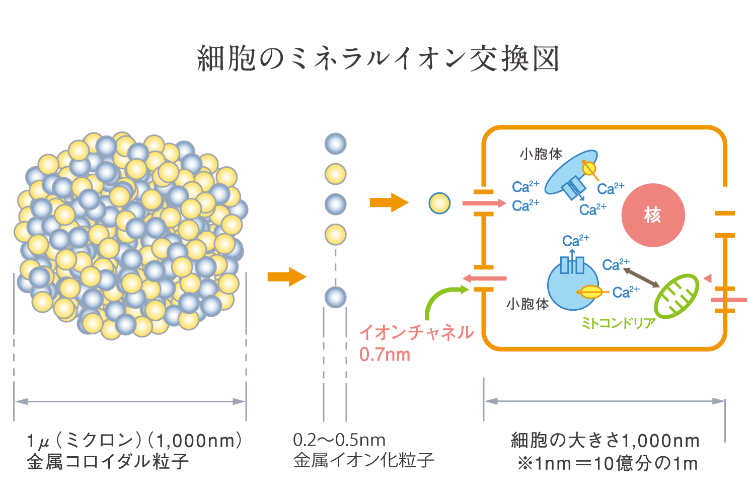 水溶性イオン化ミネラル水の開発